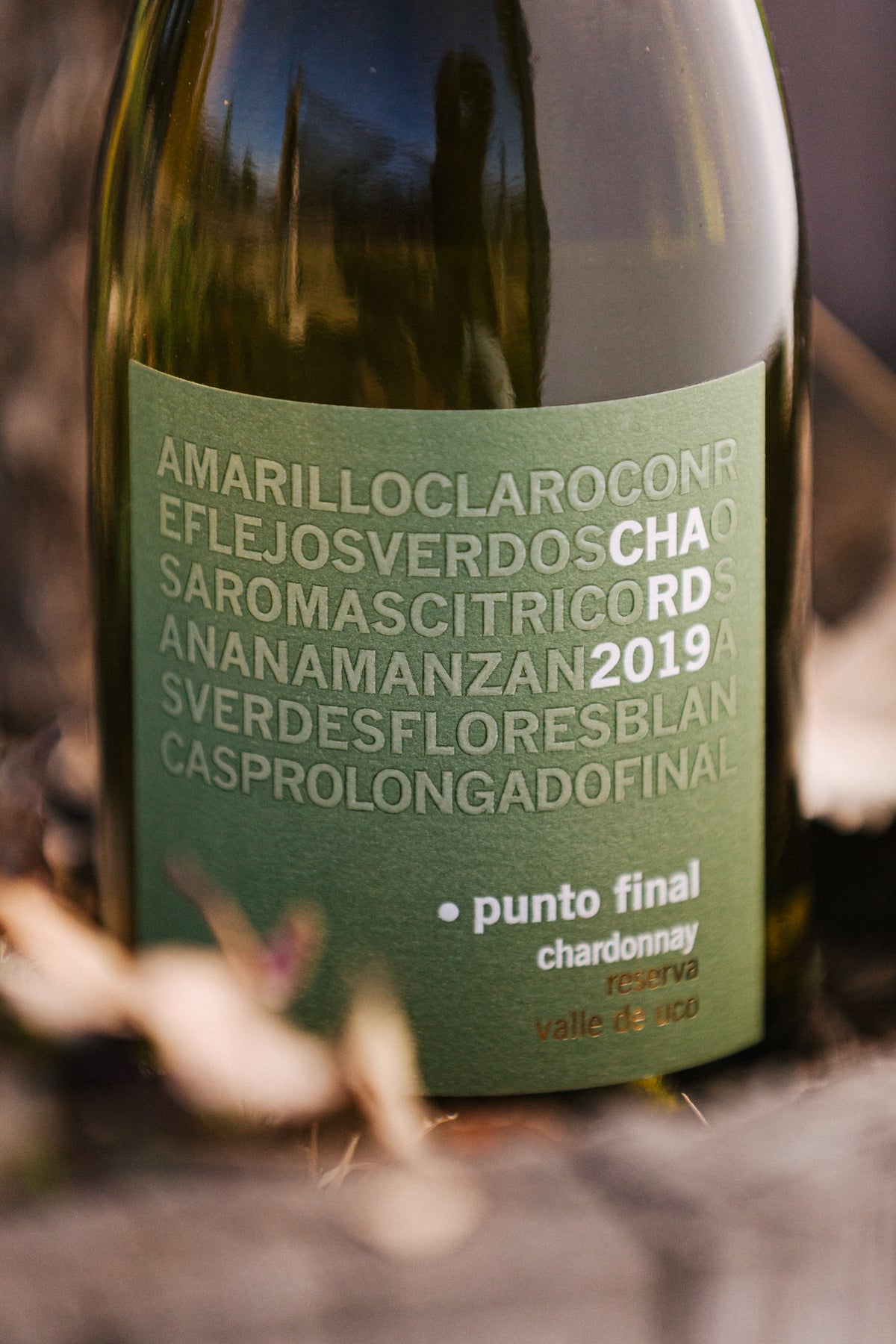 Punto Final Chardonnay Reserva