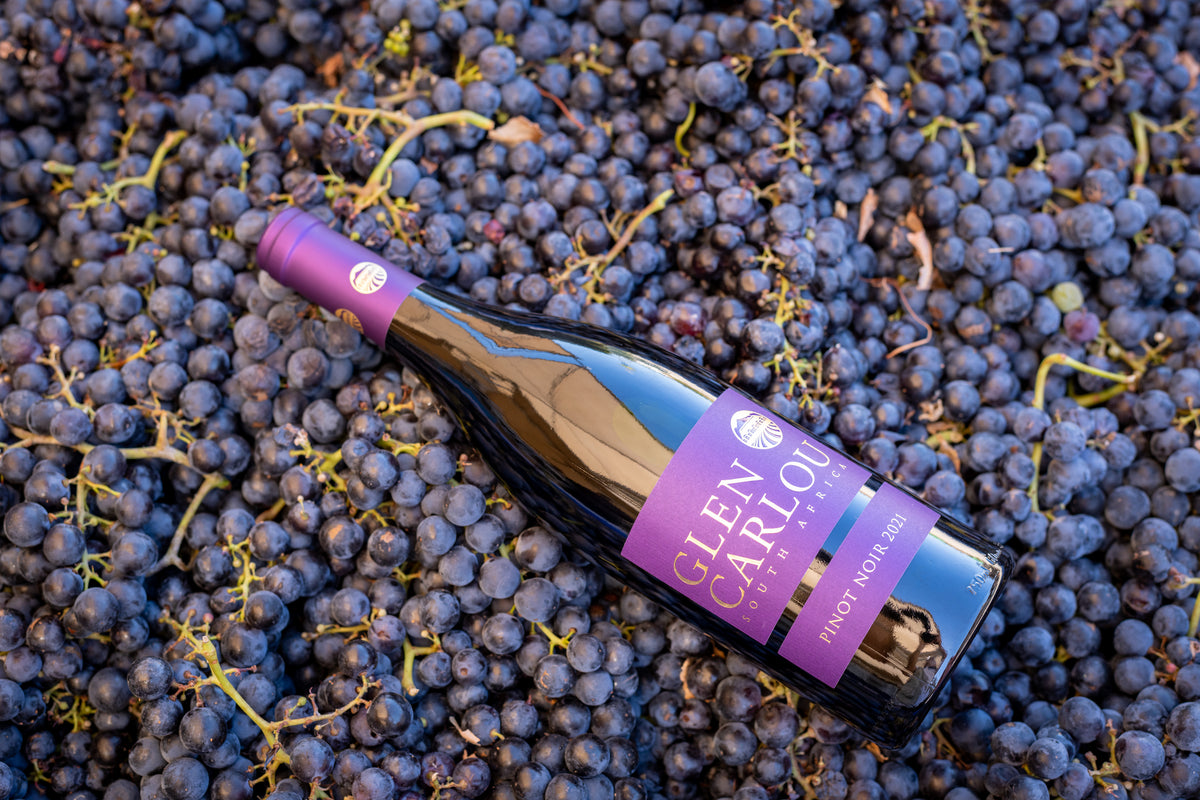 Pinot Noir 2025