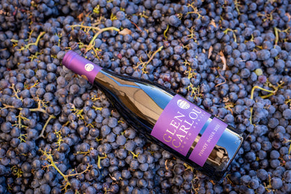 Pinot Noir 2025
