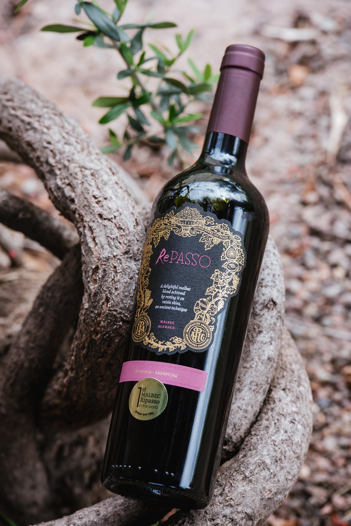 Repasso Malbec